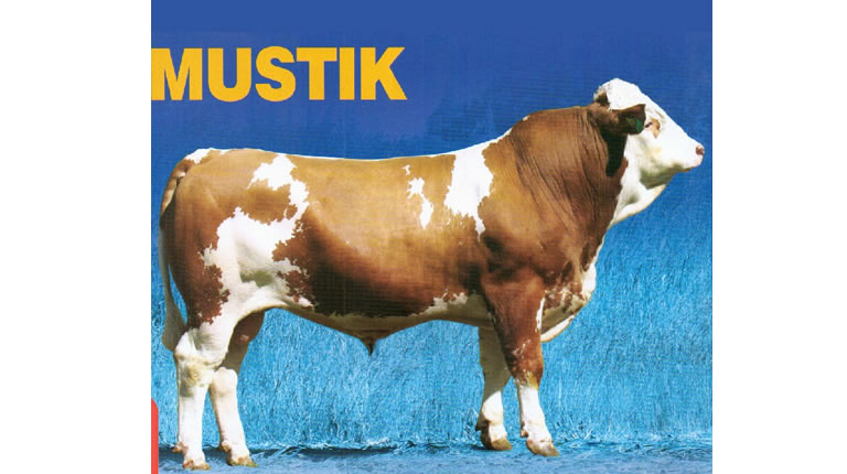 MUSTIK