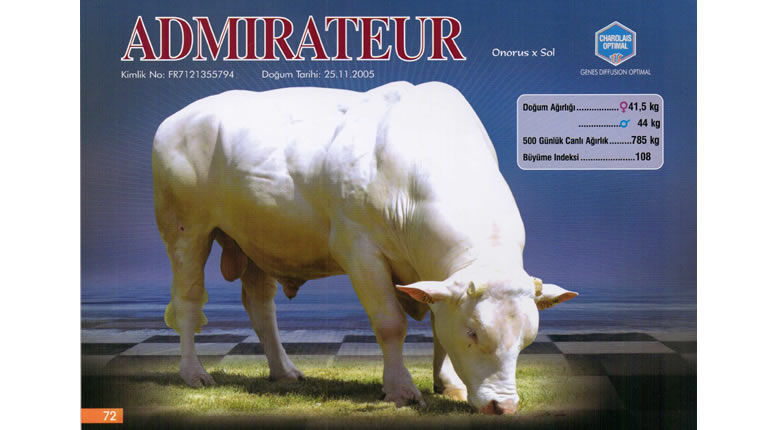 ADMIRATEUR