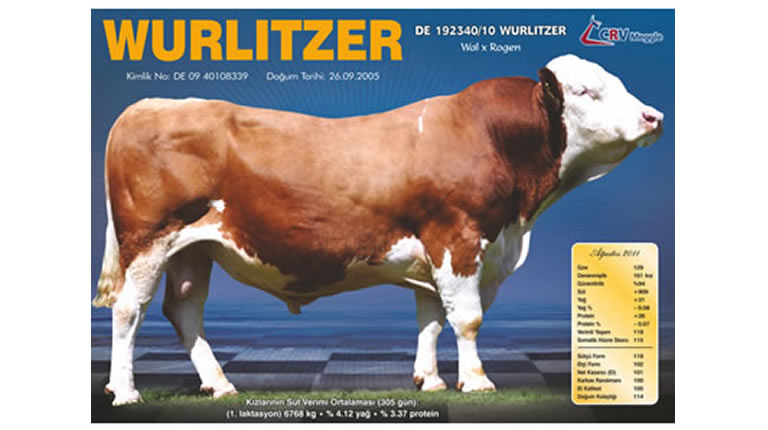 WURLITZER 