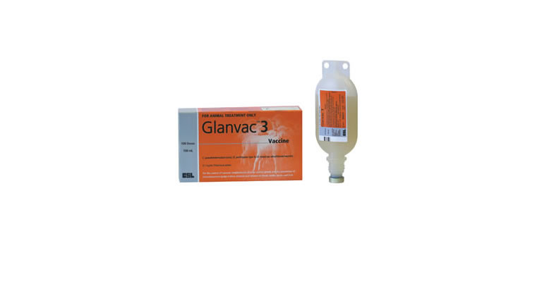 Glanvac 3