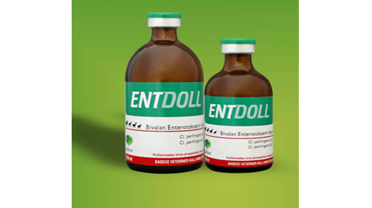 Entdoll