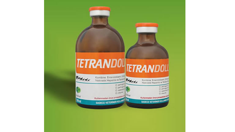 Tetrandoll