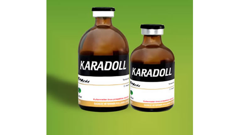 Karadoll