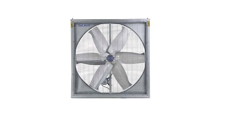 DF 1250 Fan